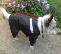 Dogs & Co Doggy onesie dog coat short leg