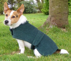 Dogs & Co Green Towelling Dog Coat