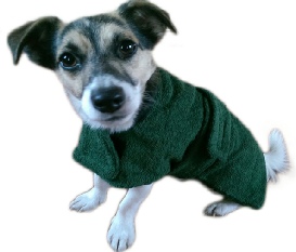 Dogs & Co Green Towelling Dog Coat