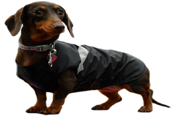 Dogs & Co Waterproof Dachshund Dog Coat