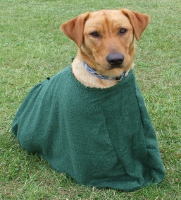 Dogs & Co Towel Dog Dry Bag
