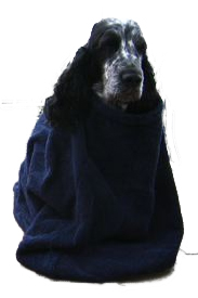 Dogs & Co Towel Dog Dry Bag