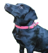 Leather Brothers LUXE Leather Dog Collars - Yellow